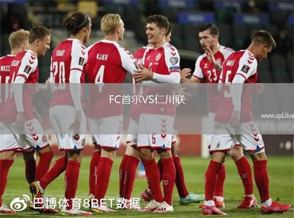 FC首尔VS仁川联