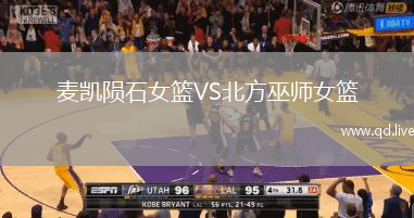 麦凯陨石女篮VS北方巫师女篮