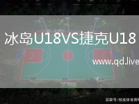 冰岛U18VS捷克U18