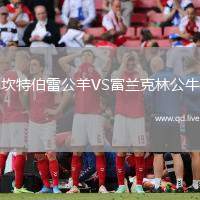 坎特伯雷公羊VS富兰克林公牛