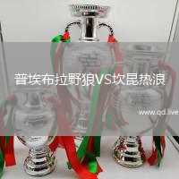普埃布拉野狼VS坎昆热浪