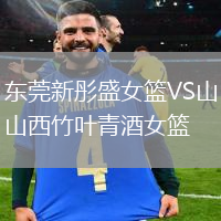 东莞新彤盛女篮VS山西竹叶青酒女篮