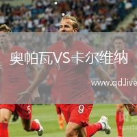奥帕瓦VS卡尔维纳