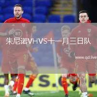 朱尼诺VHVS十一月三日队