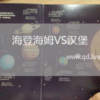 海登海姆VS汉堡