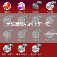 盖茨黑德VS纽卡斯尔联