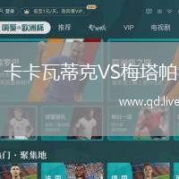 卡卡瓦蒂克VS梅塔帕