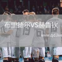 布里德尔VS赫鲁钦