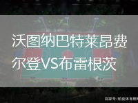 沃图纳巴特莱昂费尔登VS布雷根茨