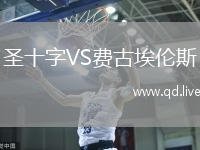 圣十字VS费古埃伦斯