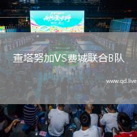 查塔努加VS费城联合B队