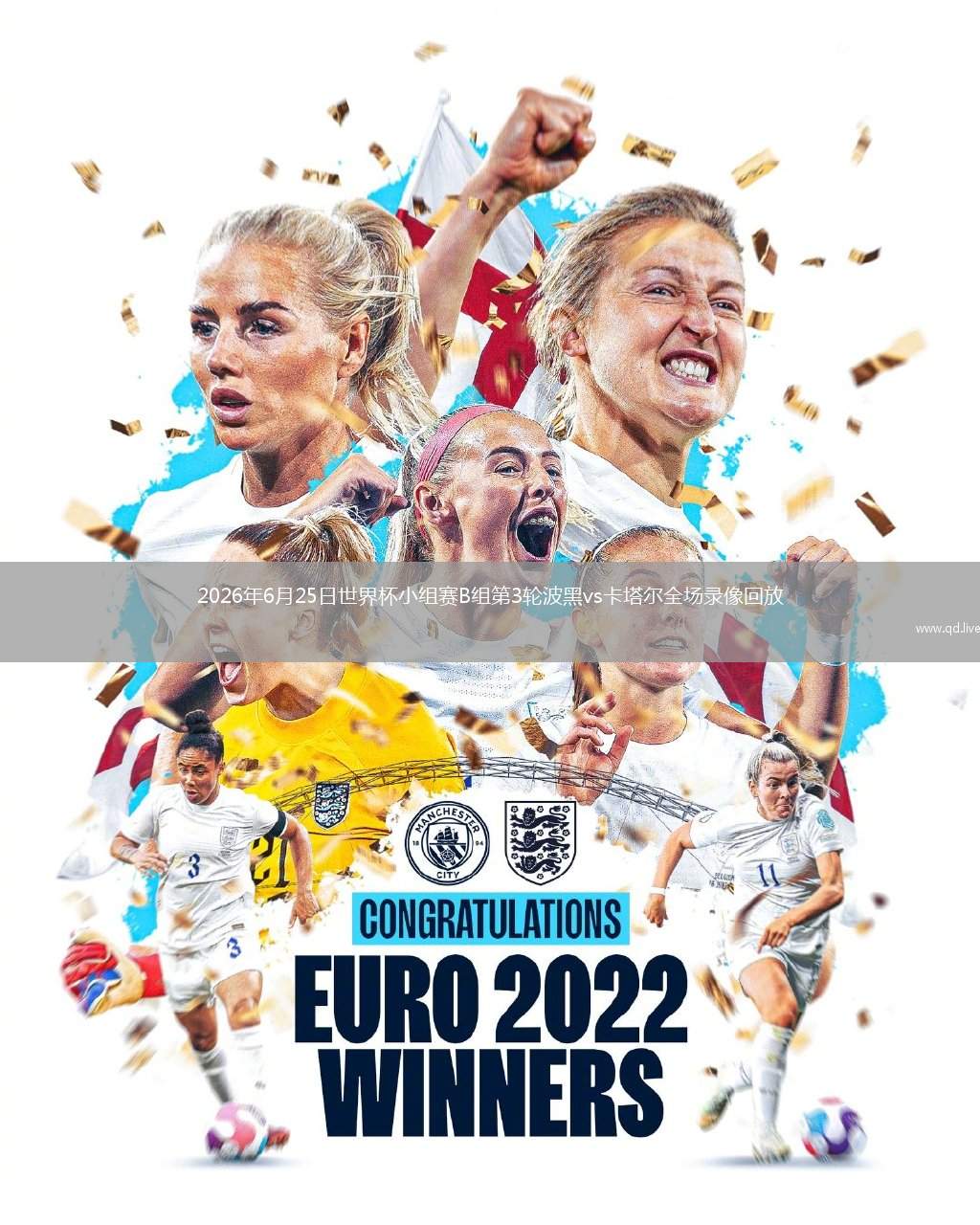 2026年6月25日世界杯小组赛B组第3轮波黑vs卡塔尔全场录像回放