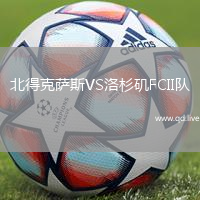 北得克萨斯VS洛杉矶FCII队