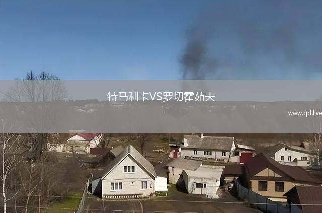特马利卡VS罗切霍茹夫