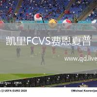凯里FCVS费恩夏普