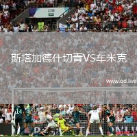 斯塔加德什切青VS车米克