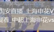 上海申花VS北京国安直播_上海申花VS北京国安免费直播无插件高清观看_中超上海申花vs北京国安回放