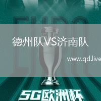 德州队VS济南队