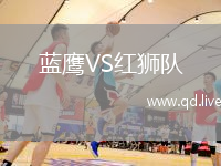 蓝鹰VS红狮队