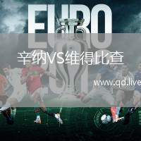 辛纳VS维得比查