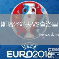 斯塔泽舒夫VS查洛里