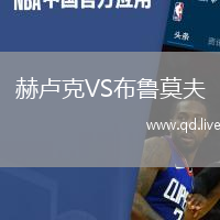 赫卢克VS布鲁莫夫
