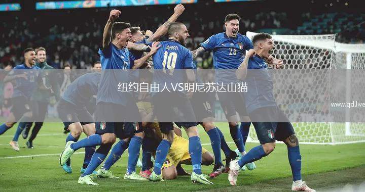 纽约自由人VS明尼苏达山猫