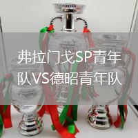 弗拉门戈SP青年队VS德昭青年队