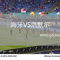 海牙VS洛默尔