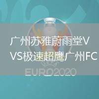 广州苏雅蔚雨堂VS极速超鹰广州FC