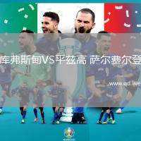 库弗斯甸VS平兹高 萨尔费尔登