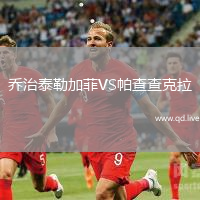 乔治泰勒加菲VS帕查查克拉