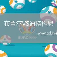 布鲁尔VS迪特科尼