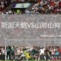 新潟天鹅VS山形山神