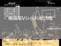 格洛塔VSHK科帕沃格