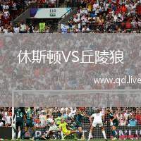 休斯顿VS丘陵狼