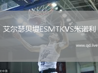 艾尔瑟贝堤ESMTKVS米诺利