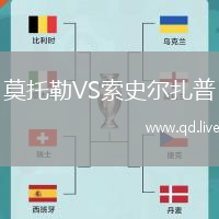 莫托勒VS索史尔扎普