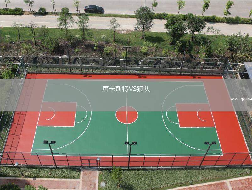 唐卡斯特VS狼队