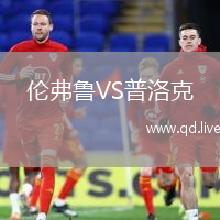 伦弗鲁VS普洛克