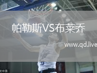 帕勒斯VS布莱乔