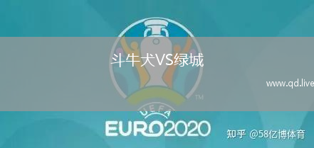 斗牛犬VS绿城
