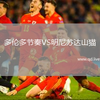 多伦多节奏VS明尼苏达山猫