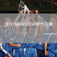 芽庄海豚VS胡志明市飞翼