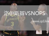 洛伊斯基VSNOPS
