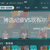 博洛尼亚VS坎布尔