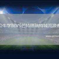 公牛学院VS芒特德瑞特城流浪者