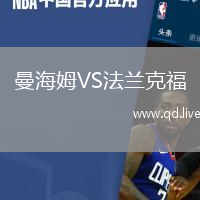 曼海姆VS法兰克福