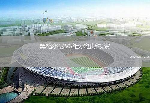 黑格尔曼VS维尔纽斯投资