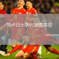 克卢日大学VS波图森尼
